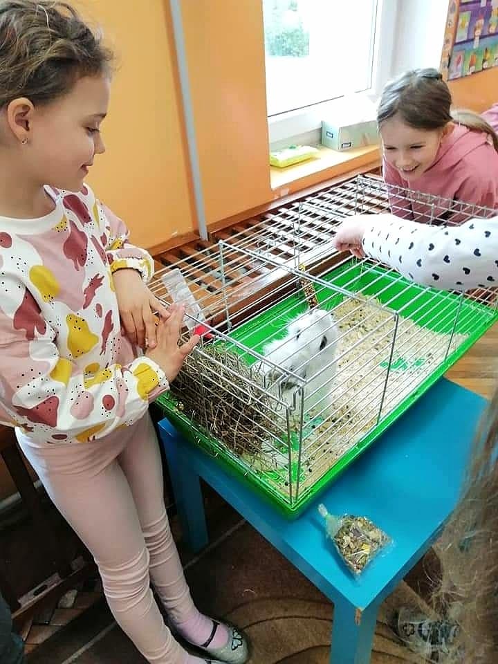 Dziewczynki obserwują królika w klatce.