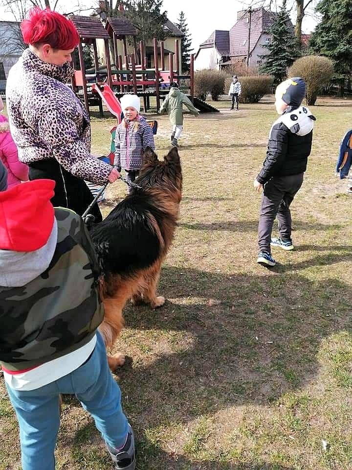 Dzieci patrzą na psa.