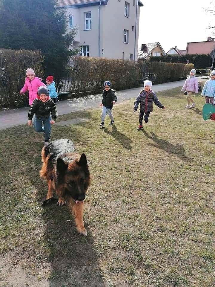 Dzieci biegają z psem.